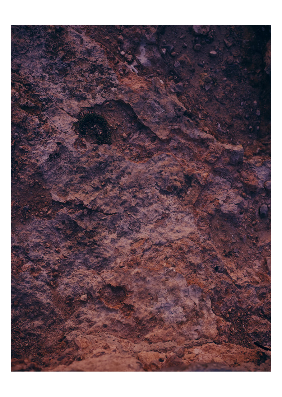 Janne Rugland 4